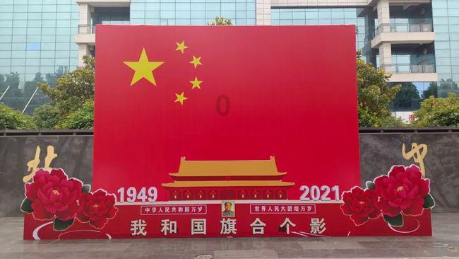 救援狗与猫